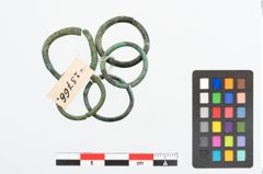 Foto von Bronzering (NHMW-PRAE-025766)